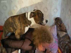 The elderly maiden cannot survive without her dog.